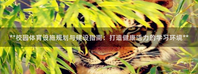 意昂体育3招商电话号码：**校园体育设施规划与建设指