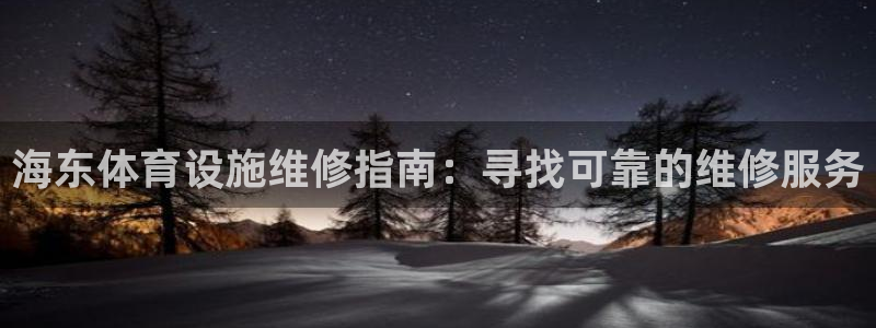 德国意昂3集团：海东体育设施维修指南：寻找可靠的维修