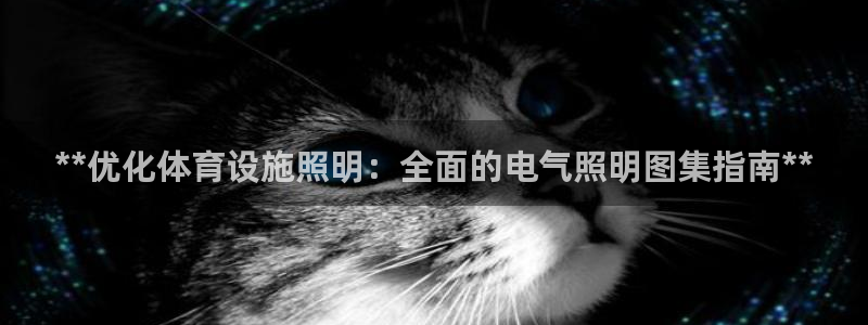 意昂体育3平台：**优化体育设施照明：全面的电气照明