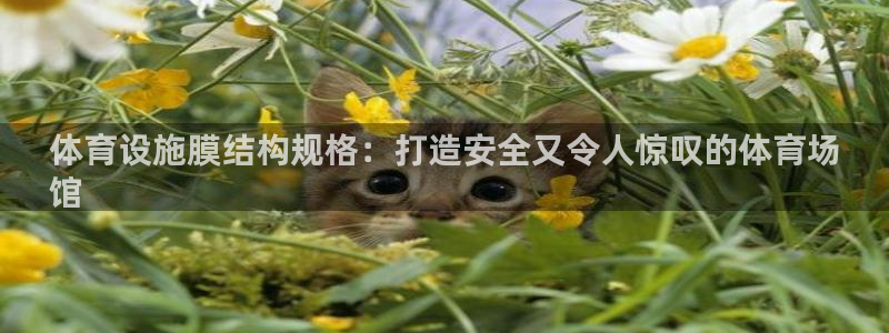 意昂体育3：体育设施膜结构规格：打造安全又令人惊叹的
