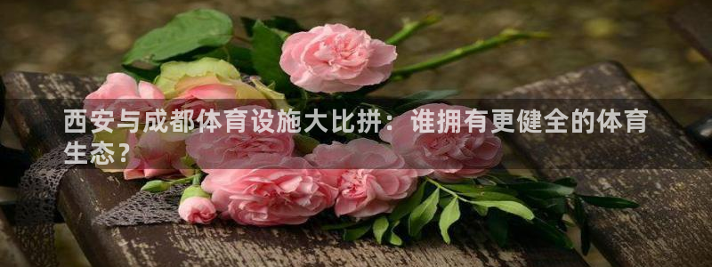 意昂3集团官网网址：西安与成都体育设施大比拼：谁拥有