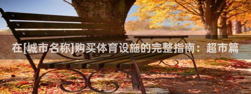 意昂3代理：在[城市名称]购买体育设施的完整指南：超