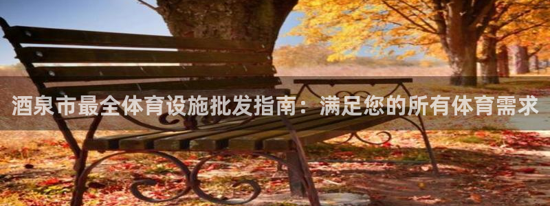 意昂体育3招商电话是多少啊：酒泉市最全体育设施批发指