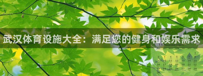 意昂3集团官网首页网址：武汉体育设施大全：满足您的健