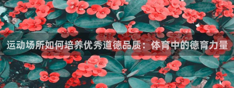 意昂3娱乐首页官网下载：运动场所如何培养优秀道德品质