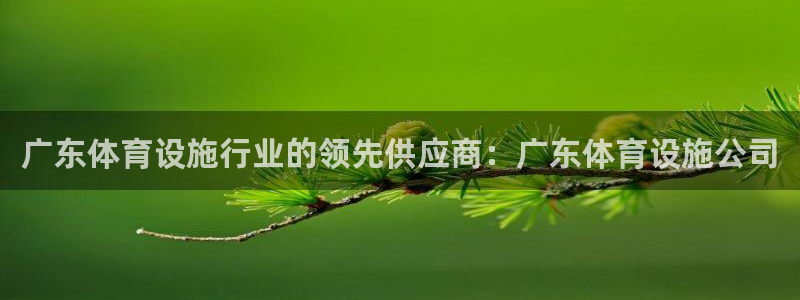 意昂体育3招商电话号码是多少：广东体育设施行业的领先