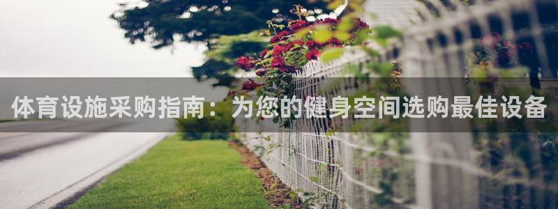 意昂3神州：体育设施采购指南：为您的健身空间选购最佳