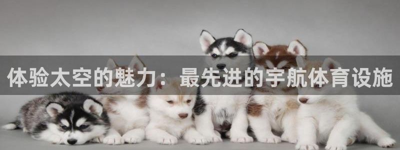 意昂3集团简介：体验太空的魅力：最先进的宇航体育设施