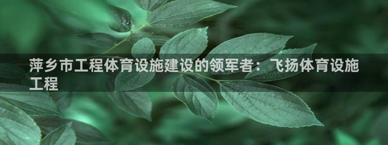 意昂3娱乐首页官网下载：萍乡市工程体育设施建设的领军
