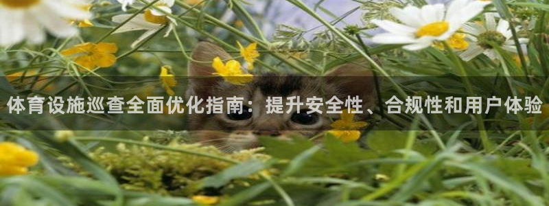 意昂3娱乐首页官网下载：体育设施巡查全面优化指南：提