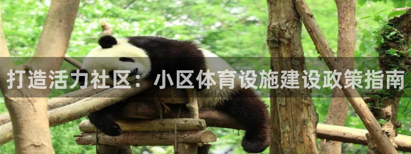 意昂体育3平台是正规平台吗：打造活力社区：小区体育设