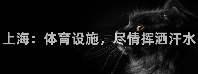 意昂体育3招商：上海：体育设施，尽情挥洒汗水