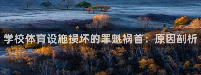 意昂3新能源：学校体育设施损坏的罪魁祸首：原因剖析