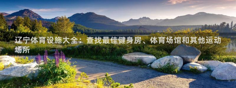 意昂3科技：辽宁体育设施大全：查找最佳健身房、体育场