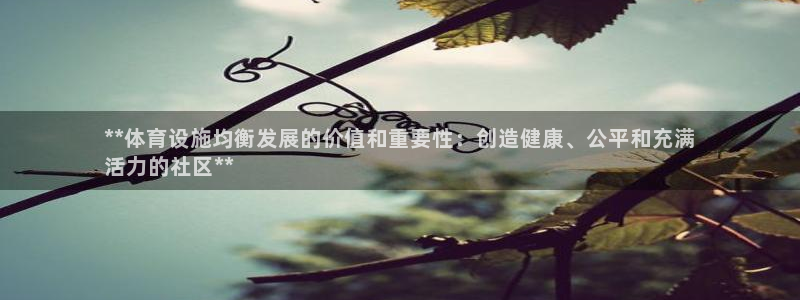 意昂3集团logo：**体育设施均衡发展的价值和重要