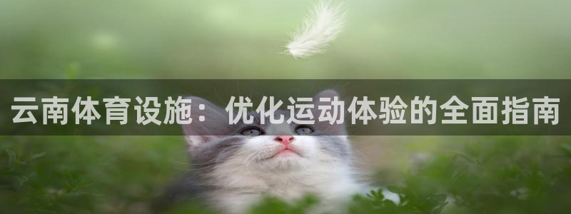意昂3娱乐是那个系列的台子：云南体育设施：优化运动体