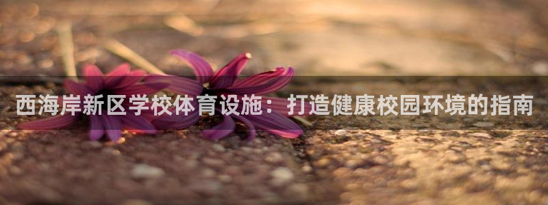 注册意昂3：西海岸新区学校体育设施：打造健康校园环境
