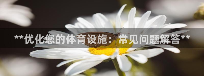 海南意昂体育3发展怎么样：**优化您的体育设施：常见