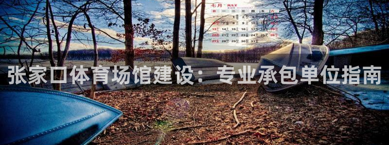 意昂体育3是干嘛的公司：张家口体育场馆建设：专业承包