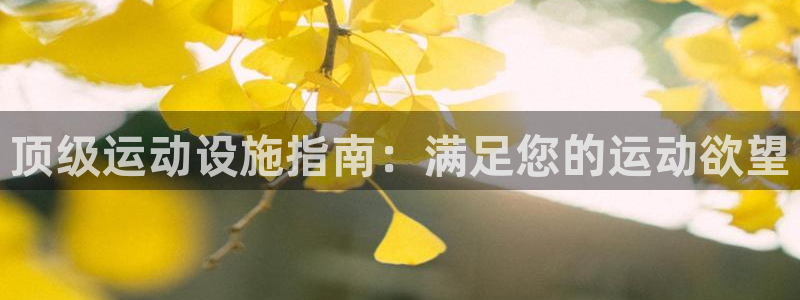 意昂体育3注册：顶级运动设施指南：满足您的运动欲望