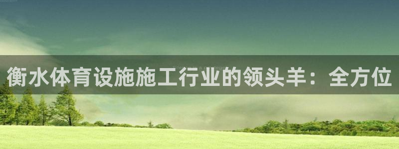 意昂3娱乐平台：衡水体育设施施工行业的领头羊：全方位