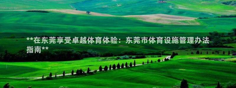 意昂3集团官网网址：**在东莞享受卓越体育体验：东莞