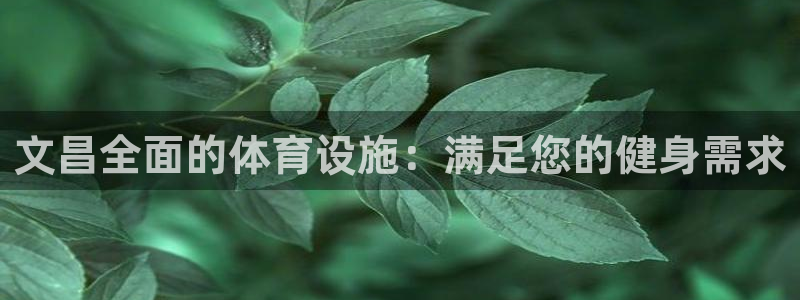 意昂集团官网：文昌全面的体育设施：满足您的健身需求