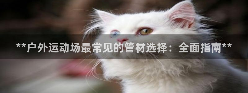 意昂集团官网：**户外运动场最常见的管材选择：全面指