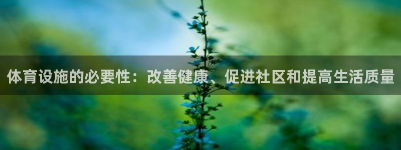 意昂体育3娱乐：体育设施的必要性：改善健康、促进社区