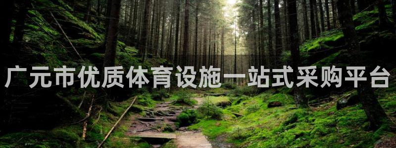 意昂3代理：广元市优质体育设施一站式采购平台