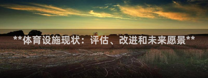 意昂3官网：**体育设施现状：评估、改进和未来愿景*