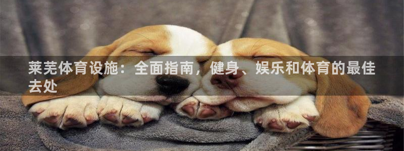 意昂体育3招商电话号码是多少号：莱芜体育设施：全面指
