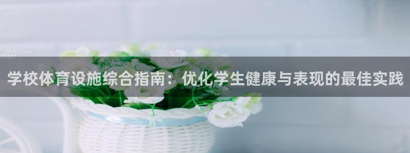 意昂体育3平台假的吗是真的吗：学校体育设施综合指南：