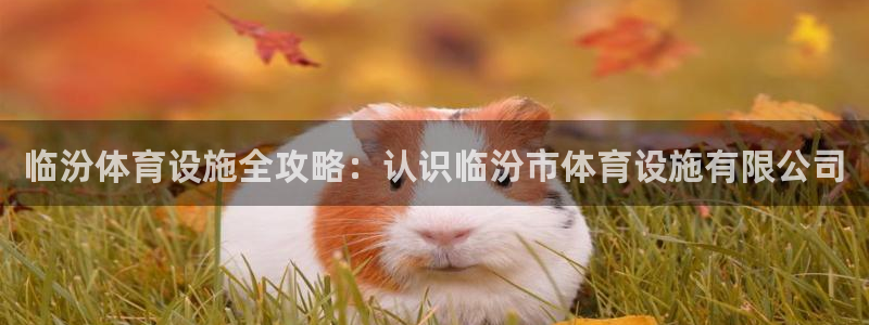 意昂3集团logo：临汾体育设施全攻略：认识临汾市体