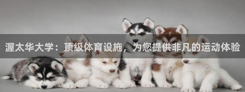 意昂体育3联系电话：渥太华大学：顶级体育设施，为您提