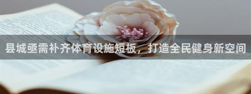 德国意昂3集团：县城亟需补齐体育设施短板，打造全民健