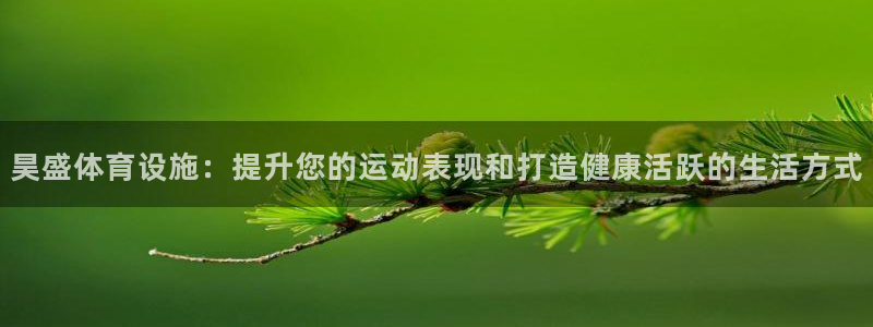 意昂3集团简介：昊盛体育设施：提升您的运动表现和打造