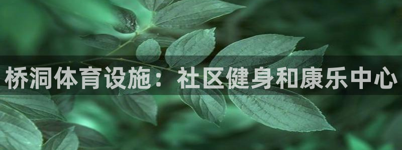意昂体育3平台假的吗是真的吗：桥洞体育设施：社区健身