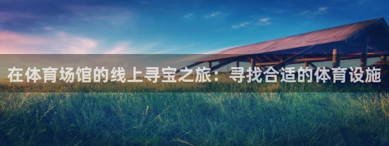 意昂3娱乐平台：在体育场馆的线上寻宝之旅：寻找合适的