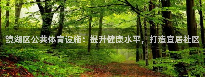 意昂3娱乐：镜湖区公共体育设施：提升健康水平，打造宜