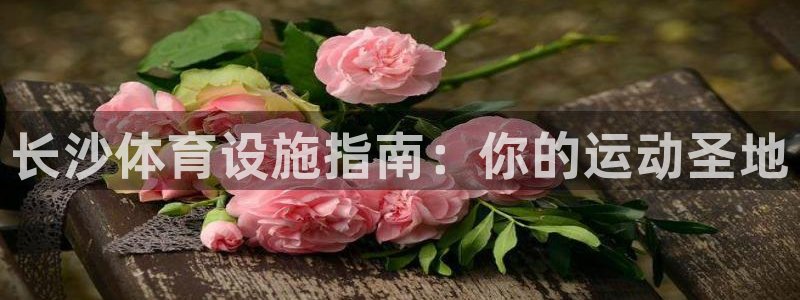 意昂3集团官网首页网址：长沙体育设施指南：你的运动圣