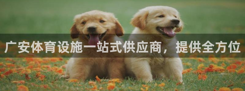 意昂3代理：广安体育设施一站式供应商，提供全方位