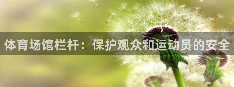 意昂体育3平台注册流程视频：体育场馆栏杆：保护观众和