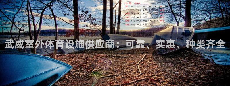 意昂3集团logo：武威室外体育设施供应商：可靠、实