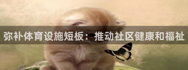 意昂体育3招商电话号码查询是多少：弥补体育设施短板：