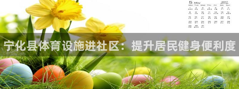 意昂3集团E.ON：宁化县体育设施进社区：提升居民健