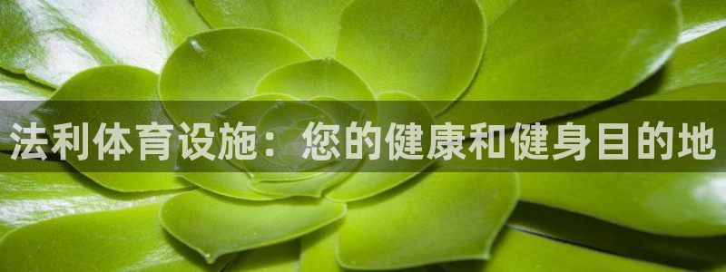 意昂体育3注册：法利体育设施：您的健康和健身目的地