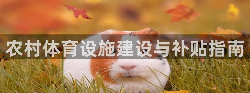 意昂体育3平台注册要钱吗安全吗：农村体育设施建设与补