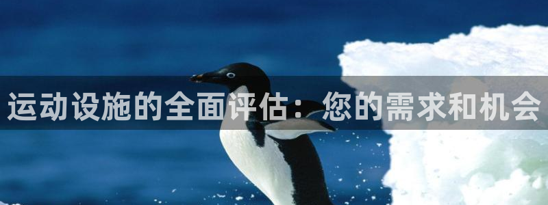 意昂3神州：运动设施的全面评估：您的需求和机会