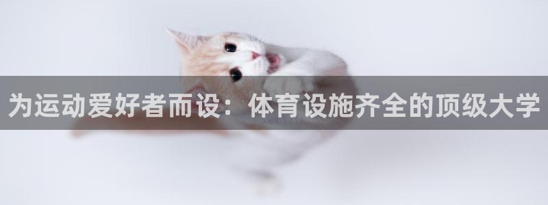 意昂3集团logo：为运动爱好者而设：体育设施齐全的